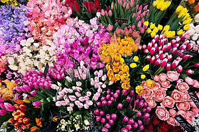 《命运2》更新：至日挑战活动现可以使用快雀载具